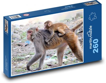 Opica - Puzzle 260 dielikov, rozmer 41x28,7 cm