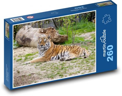 Ussurischer Tiger - Puzzle - 260 Teile