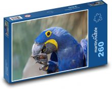 Ptak - papuga Puzzle 260 elementów - 41x28,7 cm