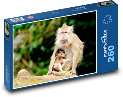 Affen - Tiere - Puzzle - 260 Teile
