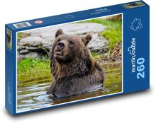 Niedźwiedź w wodzie Puzzle 260 elementów - 41x28,7 cm