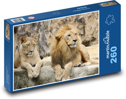 Lev a lvice - puzzle 260 dílků