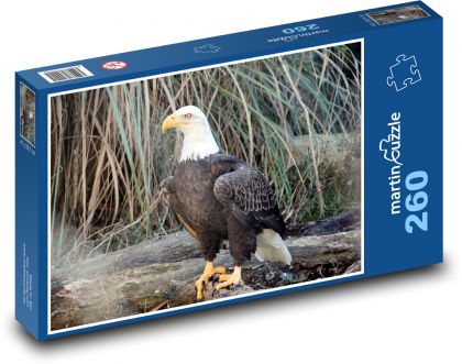 Weißkopfseeadler - Raubtier - Puzzle - 260 Teile