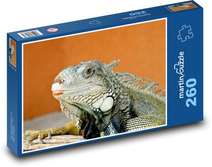 Leguán - plaz - puzzle 260 dílků