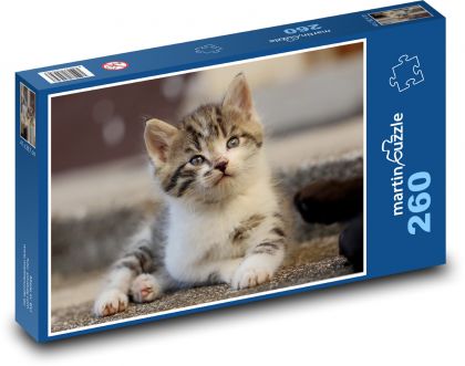 Cat - kitten - Puzzle 260 pieces, size 41x28.7 cm 