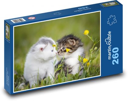 Kätzchen im Gras - Puzzle - 260 Teile