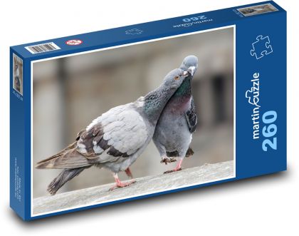 Gołębie - ptaki - Puzzle 260 elementów, rozmiar 41x28,7 cm