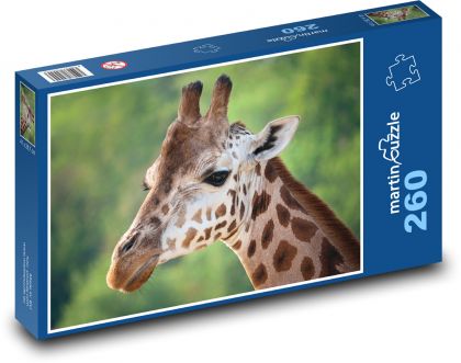 Żyrafa - Puzzle 260 elementów, rozmiar 41x28,7 cm