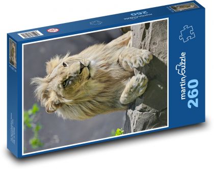 Lev s velkou hřívou - puzzle 260 dílků