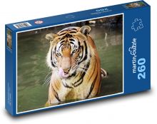 Tiger im Fluss Puzzle 260 Teile - 41 x28,7 cm