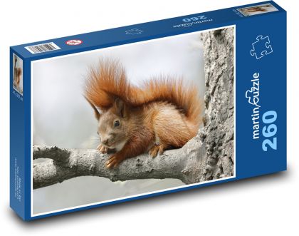 Zardzewiała wiewiórka - Puzzle 260 elementów, rozmiar 41x28,7 cm