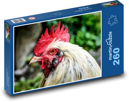 Rooster - Puzzle 260 pieces, size 41x28.7 cm 
