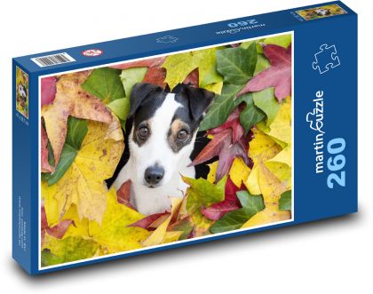 Jack Russell terrier - Puzzle 260 elementów, rozmiar 41x28,7 cm