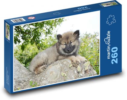 Eurázijskejšie - šteniatko - Puzzle 260 dielikov, rozmer 41x28,7 cm