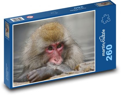 Makak - opice - puzzle 260 dílků