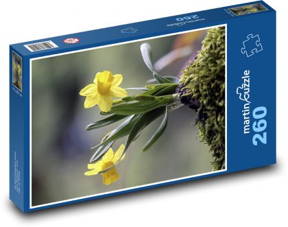 Žltý narcis - Puzzle 260 dielikov, rozmer 41x28,7 cm
