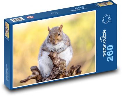 Squirrel - Puzzle 260 pieces, size 41x28.7 cm 