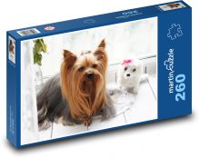 Yorkshire Terrier Puzzle 260 elementów - 41x28,7 cm