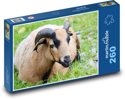 Domáca koza - Puzzle 260 dielikov, rozmer 41x28,7 cm