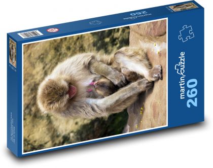 Opica - makak - Puzzle 260 dielikov, rozmer 41x28,7 cm