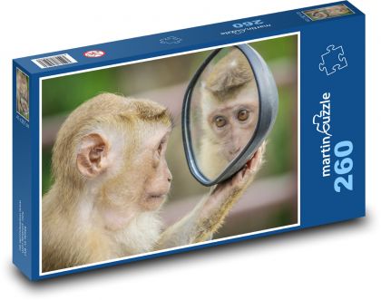 Opica a zrkadlo - Puzzle 260 dielikov, rozmer 41x28,7 cm