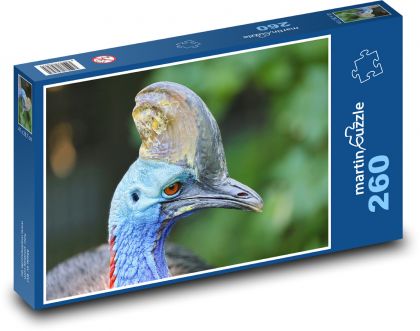 Southern cassowary - bird - Puzzle 260 pieces, size 41x28.7 cm 