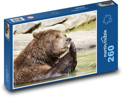 Medvěd hnědý - puzzle 260 dílků