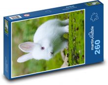 Domestic rabbit Puzzle 260 pieces - 41 x 28.7 cm 