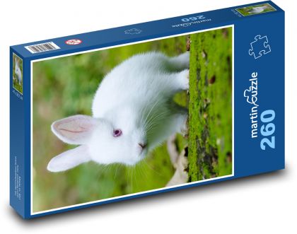 Domestic rabbit - Puzzle 260 pieces, size 41x28.7 cm 