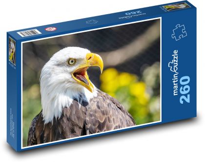 Bald Eagle - Puzzle 260 pieces, size 41x28.7 cm 