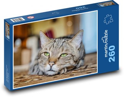 Zelenooká mačka - Puzzle 260 dielikov, rozmer 41x28,7 cm
