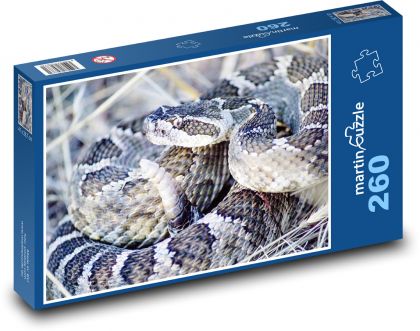 Rattlesnake - snake - Puzzle 260 pieces, size 41x28.7 cm 