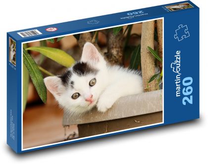 Katze - Kätzchen - Puzzle - 260 Teile