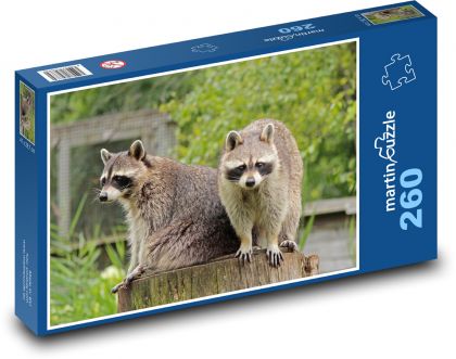 Waschbär - Puzzle - 260 Teile