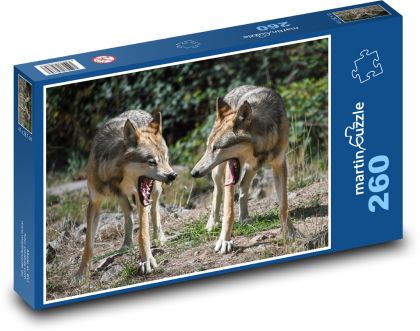 Rozzlobení vlci - puzzle 260 dílků