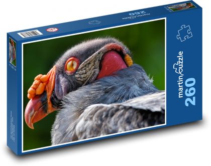 Vulture - bird - Puzzle 260 pieces, size 41x28.7 cm 