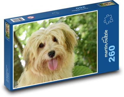Havanese dog - Puzzle 260 pieces, size 41x28.7 cm 