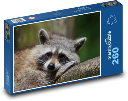 Mýval medveď - Puzzle 260 dielikov, rozmer 41x28,7 cm