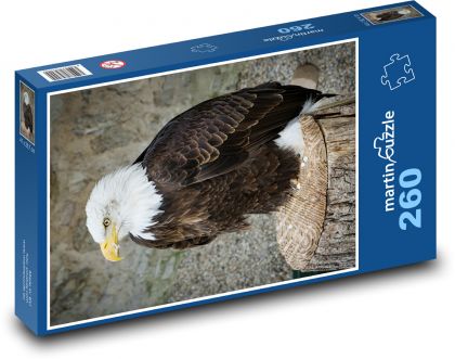 Vták - orol - Puzzle 260 dielikov, rozmer 41x28,7 cm