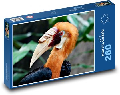 Dzioborożec - ptak - Puzzle 260 elementów, rozmiar 41x28,7 cm