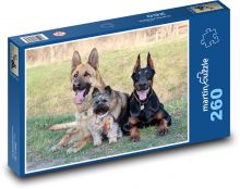 Doberman, Jorkšírský teriér, Německý ovčák Puzzle 260 dílků - 41 x 28,7 cm