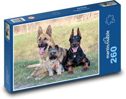 Doberman, Jorkšírský teriér, Německý ovčák - puzzle 260 dílků