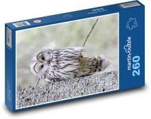 Ptak - sowa Puzzle 260 elementów - 41x28,7 cm
