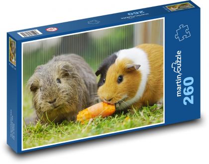 Morčata - hlodavci - puzzle 260 dílků