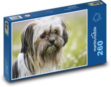 Čivava zmiešaného plemena - pes Puzzle 260 dielikov - 41 x 28,7 cm 