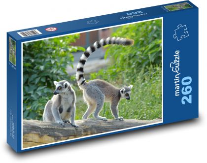 Lemur kata - puzzle 260 dílků