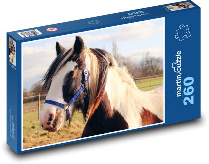 Kôň na pastvine - Puzzle 260 dielikov, rozmer 41x28,7 cm