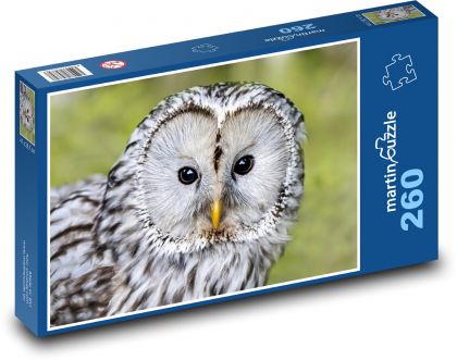 Pustík - Eule - Puzzle - 260 Teile