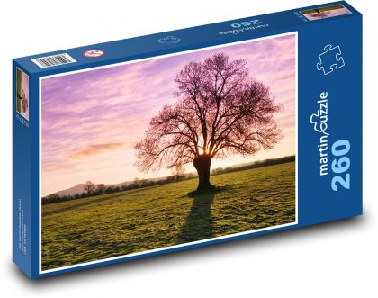 Popiół - drzewo - Puzzle 260 elementów, rozmiar 41x28,7 cm