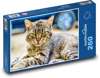 Domáca mačka - Puzzle 260 dielikov, rozmer 41x28,7 cm